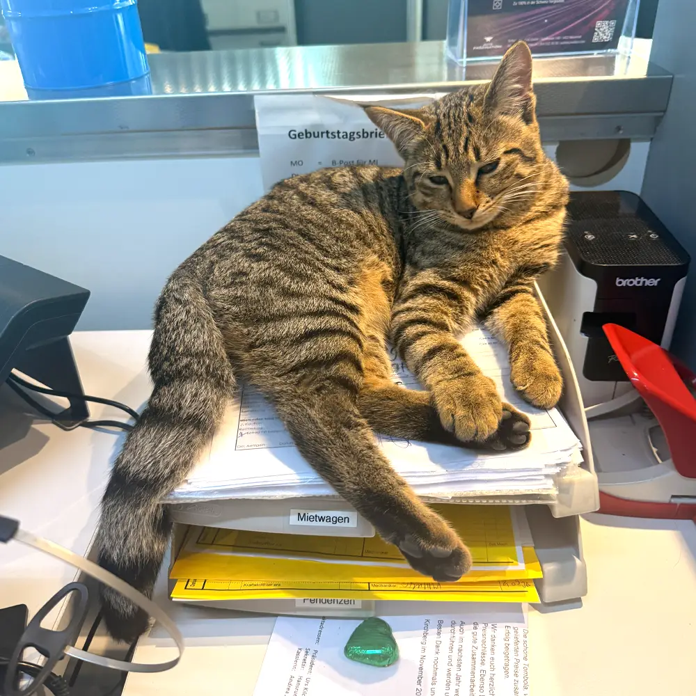 Bobby - The Cat, Werkstatt Siebenschläfer und Gamer